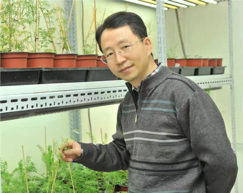bat365正版唯一官网创新论坛第一千二百六十八讲暨120周年校庆年系列活动：复杂花瓣的发育与进化